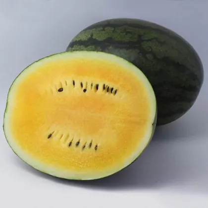 Кавун КС 500 F1 насіння 100 шт Кітано Kitano Seeds
