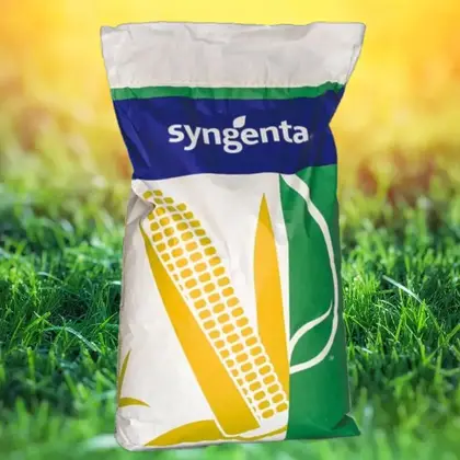 Кукурудза Енермакс F1 насіння 50000 шт Syngenta — Photo 1