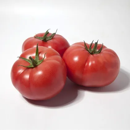 Томат КС 3811 F1 індетермінантний насіння 100 шт Kitano Seeds