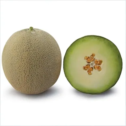 Диня КС 7044 F1 насіння 100 шт Kitano Seeds