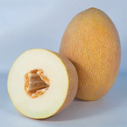 Диня Кубус КС 6188 F1 насіння 100 шт Kitano Seeds
