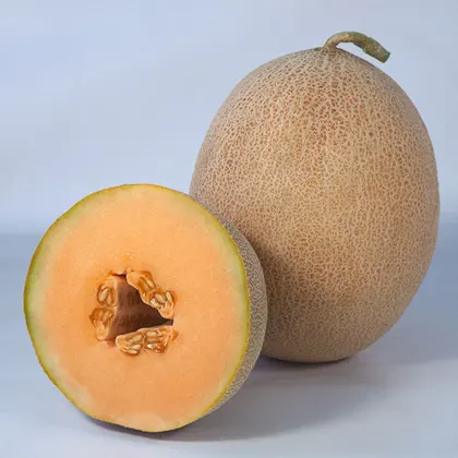 Диня Трібека КС 6147 F1 насіння 100 шт Kitano Seeds