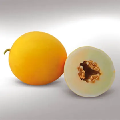 Диня Шинарі КС 7066 F1 насіння 100 шт Kitano Seeds — Photo 1