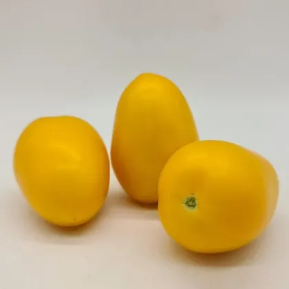Томат індетермінантний КС 221 F1 насіння 100 шт Kitano Seeds — Photo 1