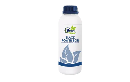 Добриво Smart Grow Black Power Bor, 1 л Libra Agro