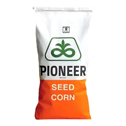 Кукурудза П9903 F1 насіння 80 000 шт Pioneer Піонеер