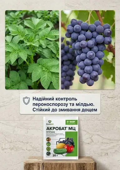 Акробат фунгіцид 20 г Basf Басф — Photo 2