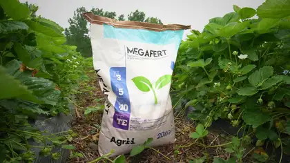 Водорозчинне комплексне мінеральне добриво Megafert 3.5.40 Мегаферт 20 кг Agrii