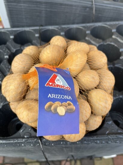 Картопля Арізона 50 бульб