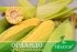 Цукрова кукурудза ОрландоF1, Sh2-тип, 200 насінин на 30 м2, 78-80 днів — Photo 10