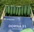 Дорма F1 / Dorma F1 100 насінин огірок Hektar (HEK21C048) — Photo 5