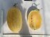 Кавун Жако PL 6003 F1 насіння 500 шт Asia Seed — Photo 7