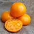 Помідор Айсан КС18 F1 Aysan KS18 F1 насіння 10 шт Kitano Seeds — Photo 2