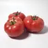 Томат КС 1157 F1 індетермінантний насіння 100 шт Kitano Seeds — Photo 5