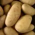 Картопля Сенсейшн 1 репродукція 5 кг Agrico Агріко — Photo 3