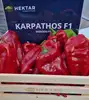 Перець Карпатос F1 Karpathos F1 насіння 500 шт Hektar — Photo 11